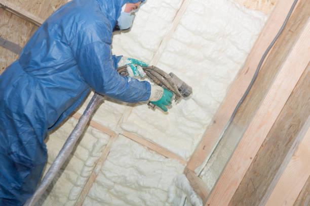 Best Commercial Insulation Services  in Watertown, MN